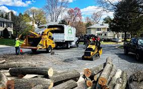 Trusted Oak Creek, WI Tree Removal Experts