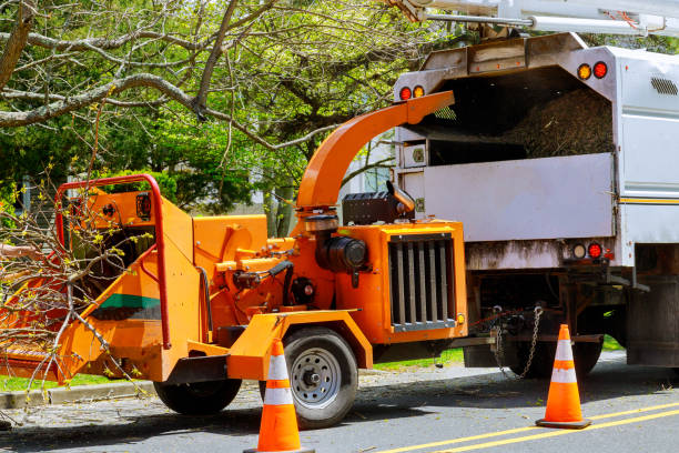 Best Stump Grinding and Removal  in Oak Creek, WI